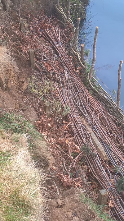 Back Fill Willow Weave